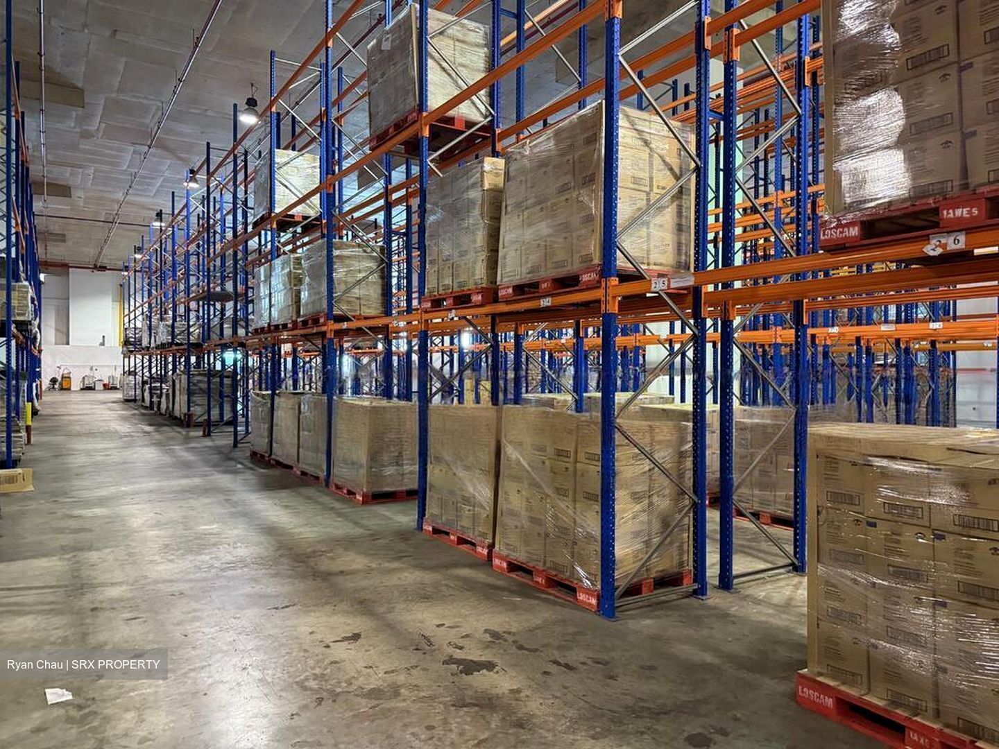 West Coast Gardens (D5), Warehouse #470474341